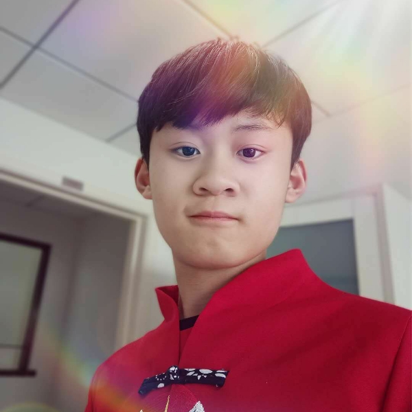 纸鹤的精明的照片