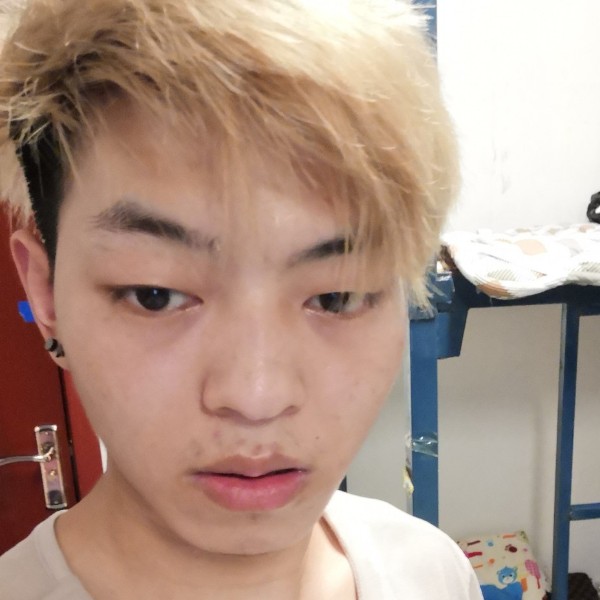 悲凉請金毛的照片