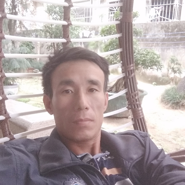 魔幻金毛的照片