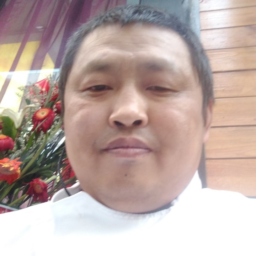 平淡纸鹤的照片