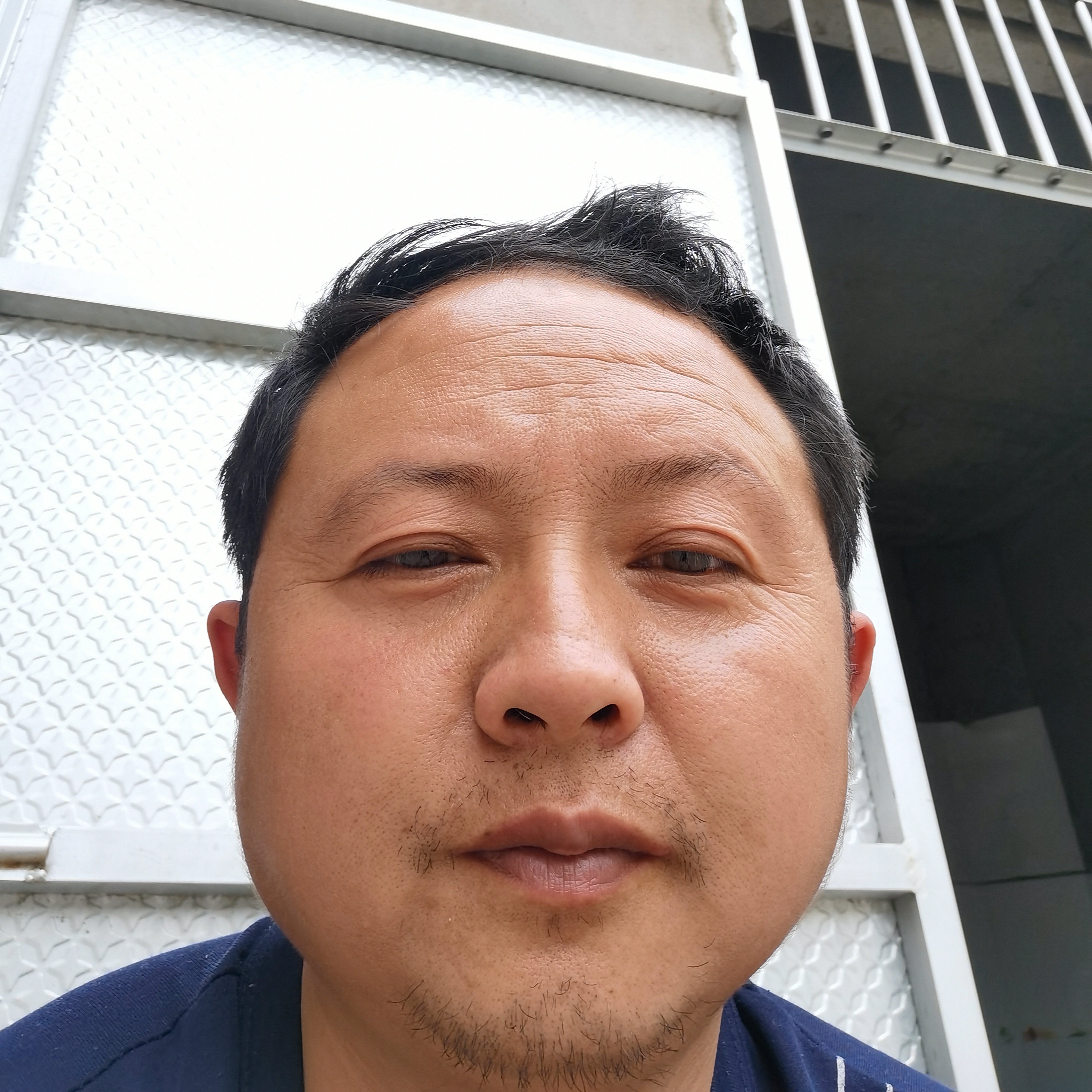 燕北飞舞的照片