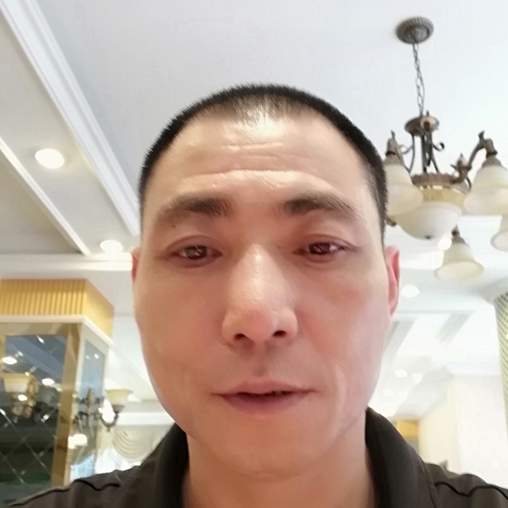 猫咪完美的照片