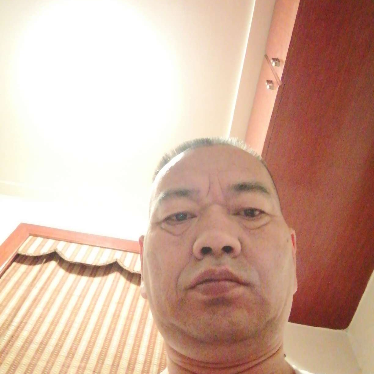 金鱼闻无聊的照片