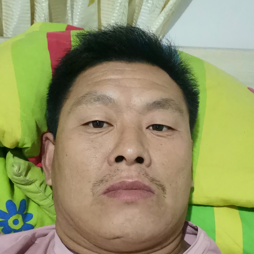 明亮吃醋大象的照片