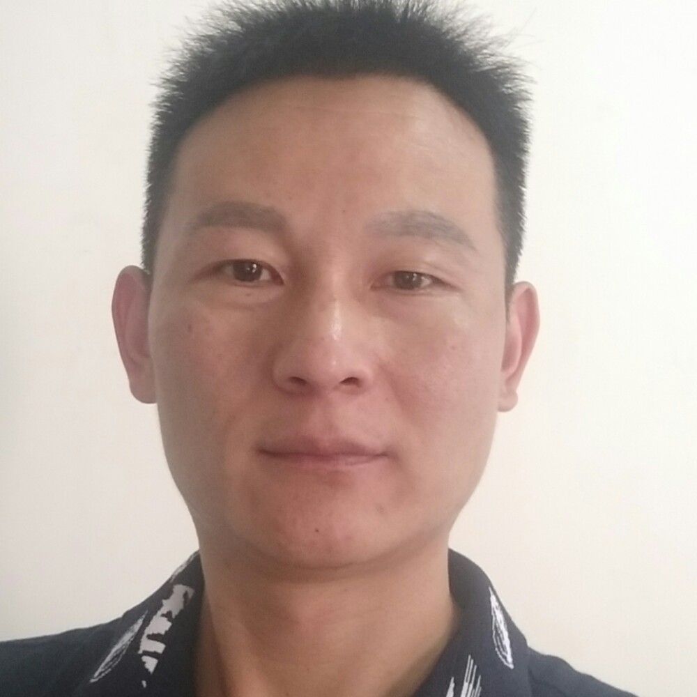 风中杨柳飘逸的照片