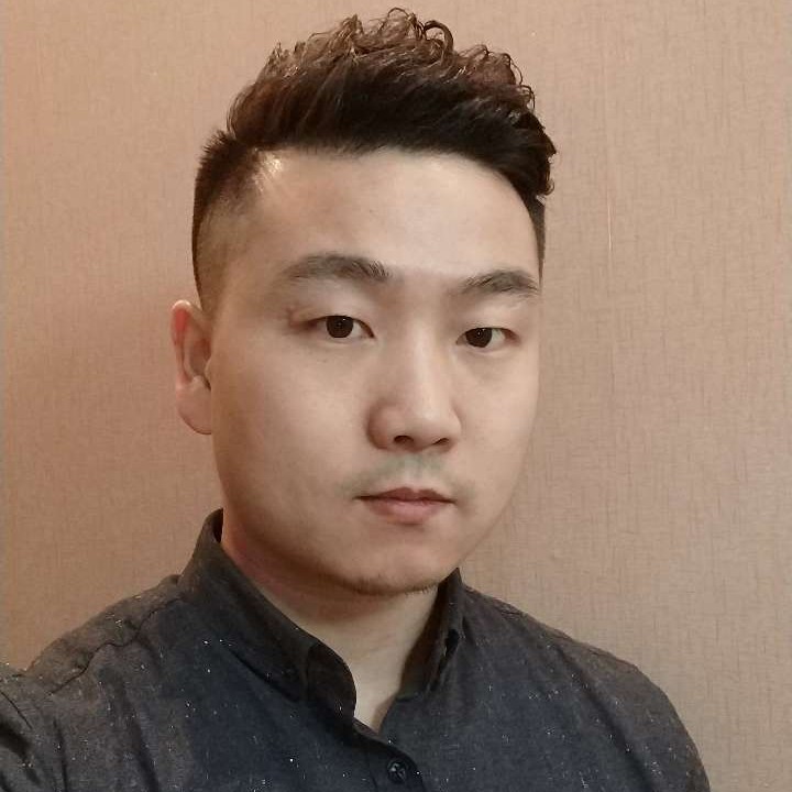 枯树叶的照片