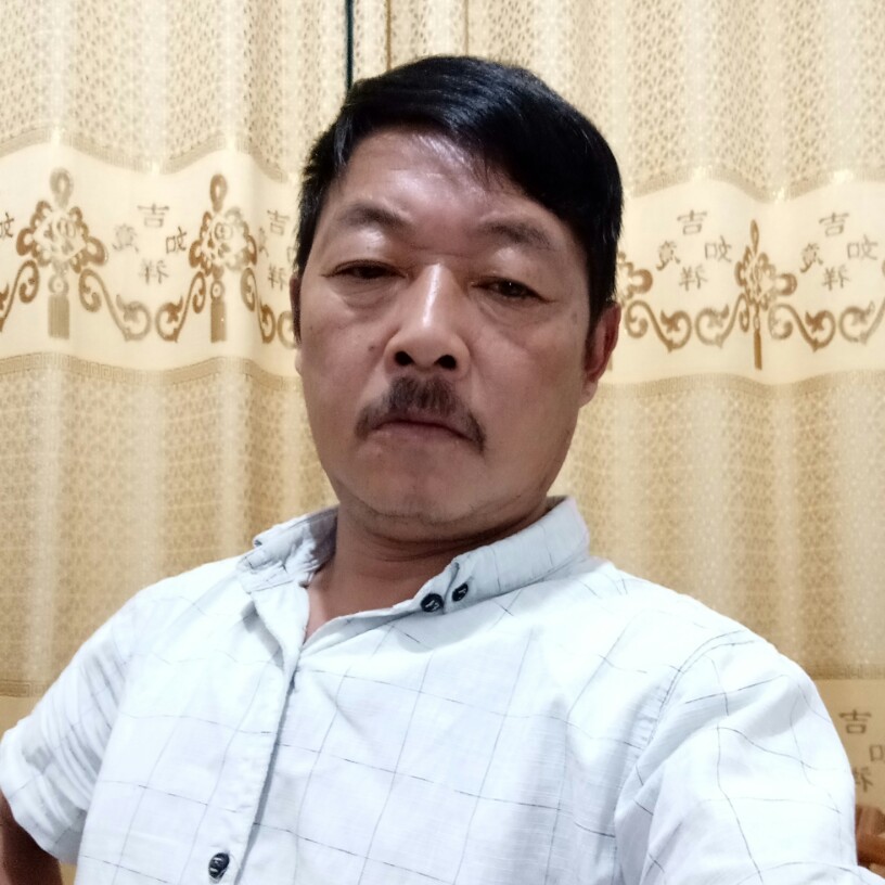 烂漫紫萱的照片