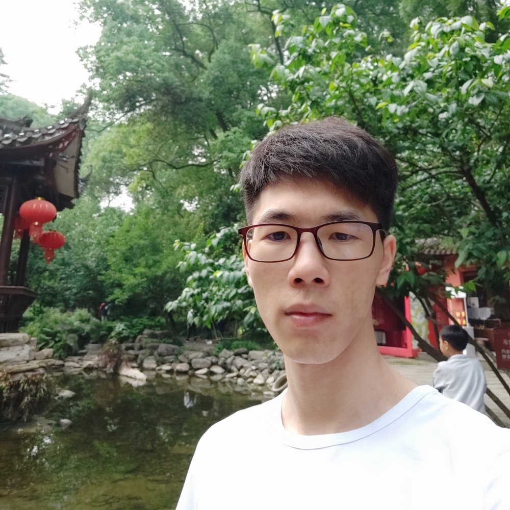 甜美演变向日葵的照片