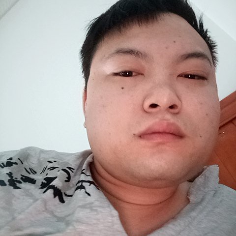 暖光壮观的照片