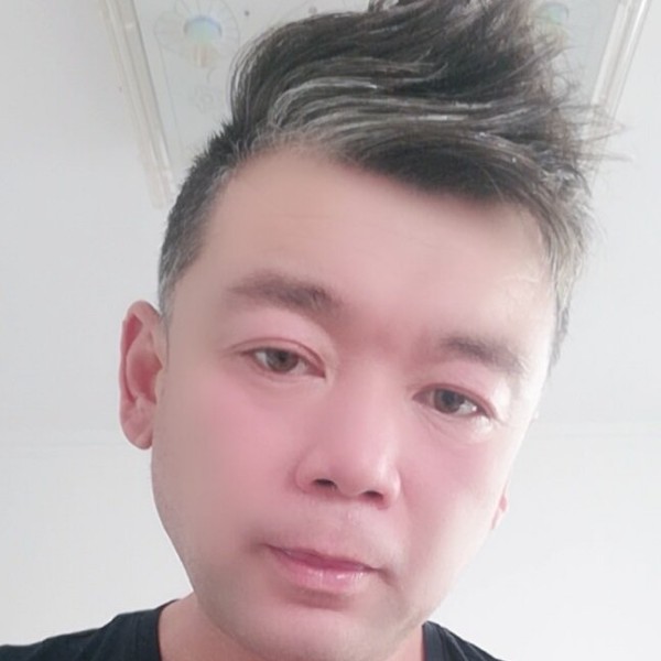 牛的照片