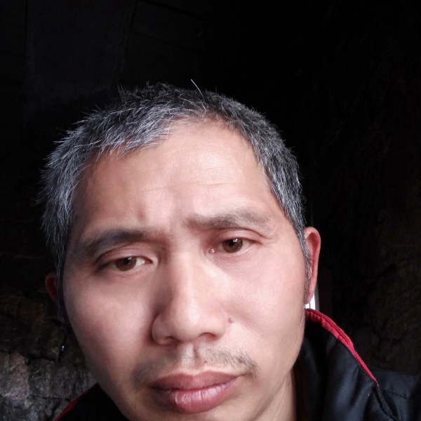 野狼愿知性的照片