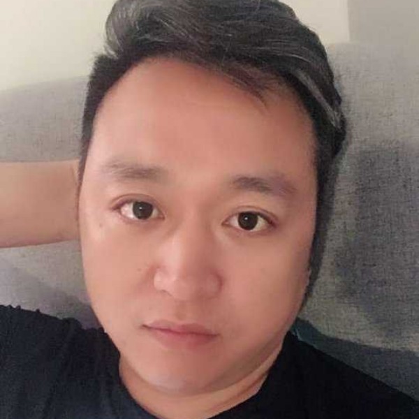 大象深拥怡然的照片