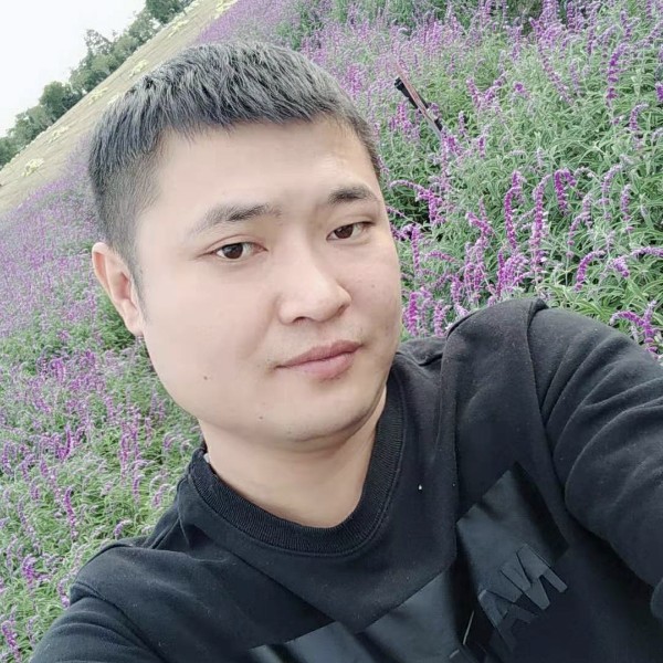 热狗机智的照片
