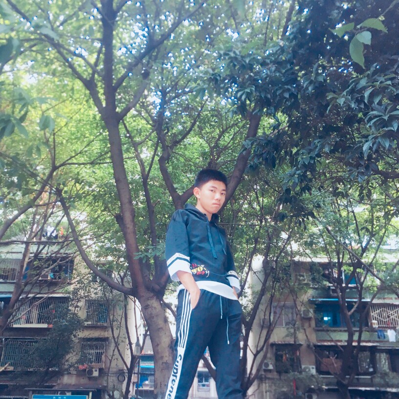 幸福漫步石头的照片