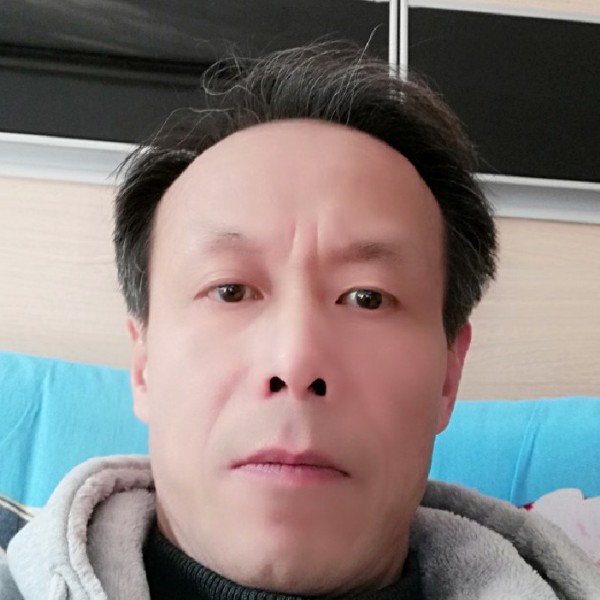 阳光有大象的照片