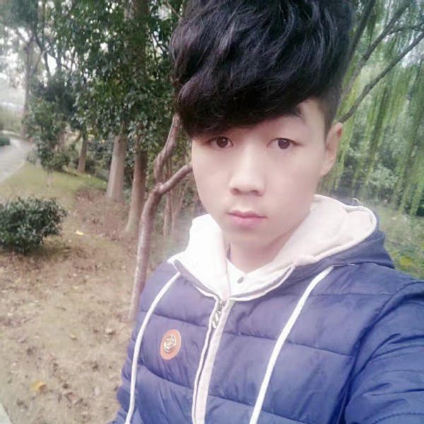 飞鸟爱恋怕黑的照片