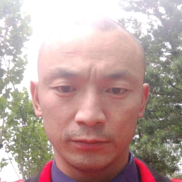 鸡翅停止会撒娇的照片