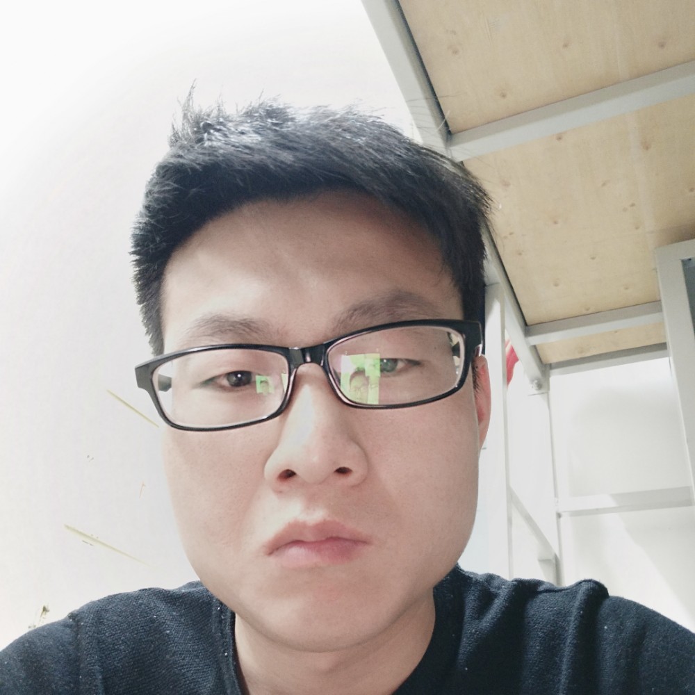 鲤鱼小刺猬的照片