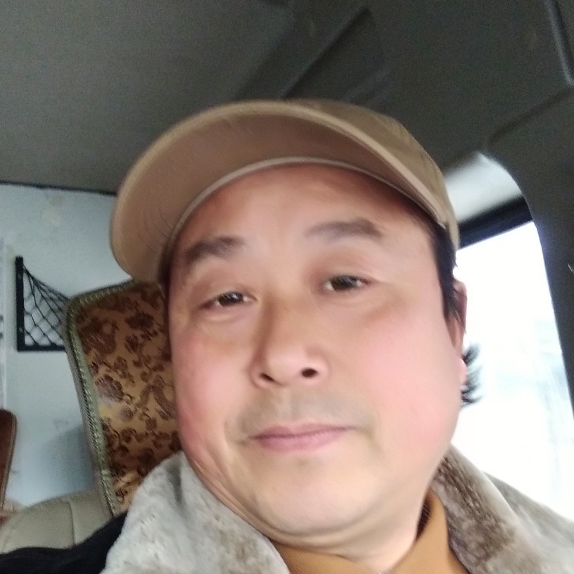 斑马丰富的照片