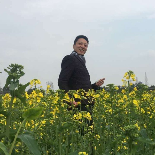 ~峰的照片