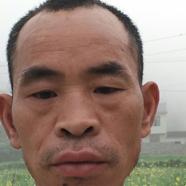 老尧的照片