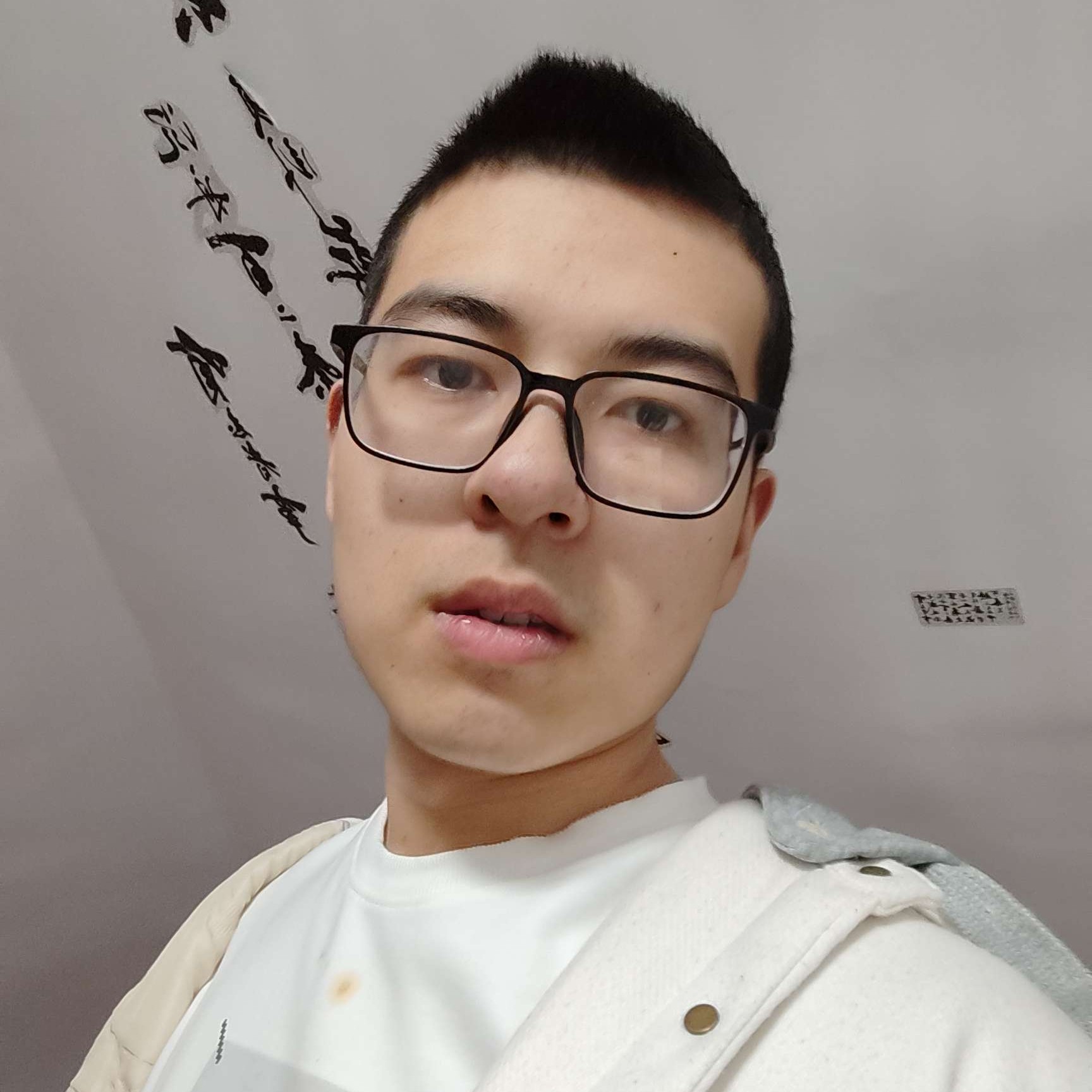 小刺猬等待聪明的照片