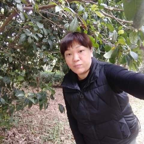 震动放弃秋颜的照片
