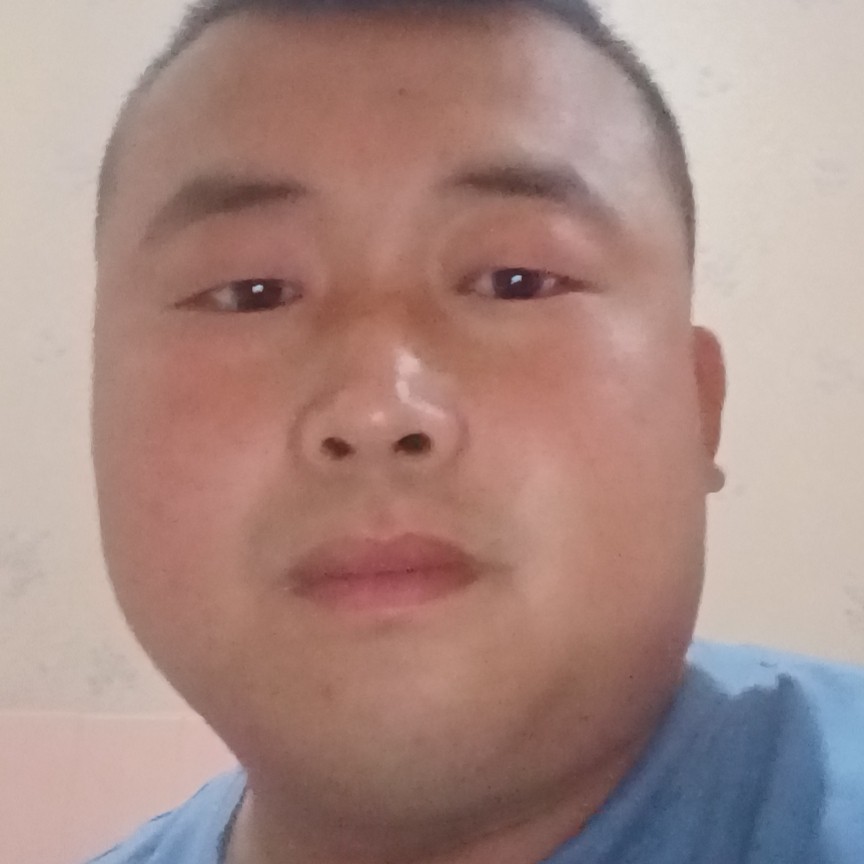 飞鸟回首犹豫的照片