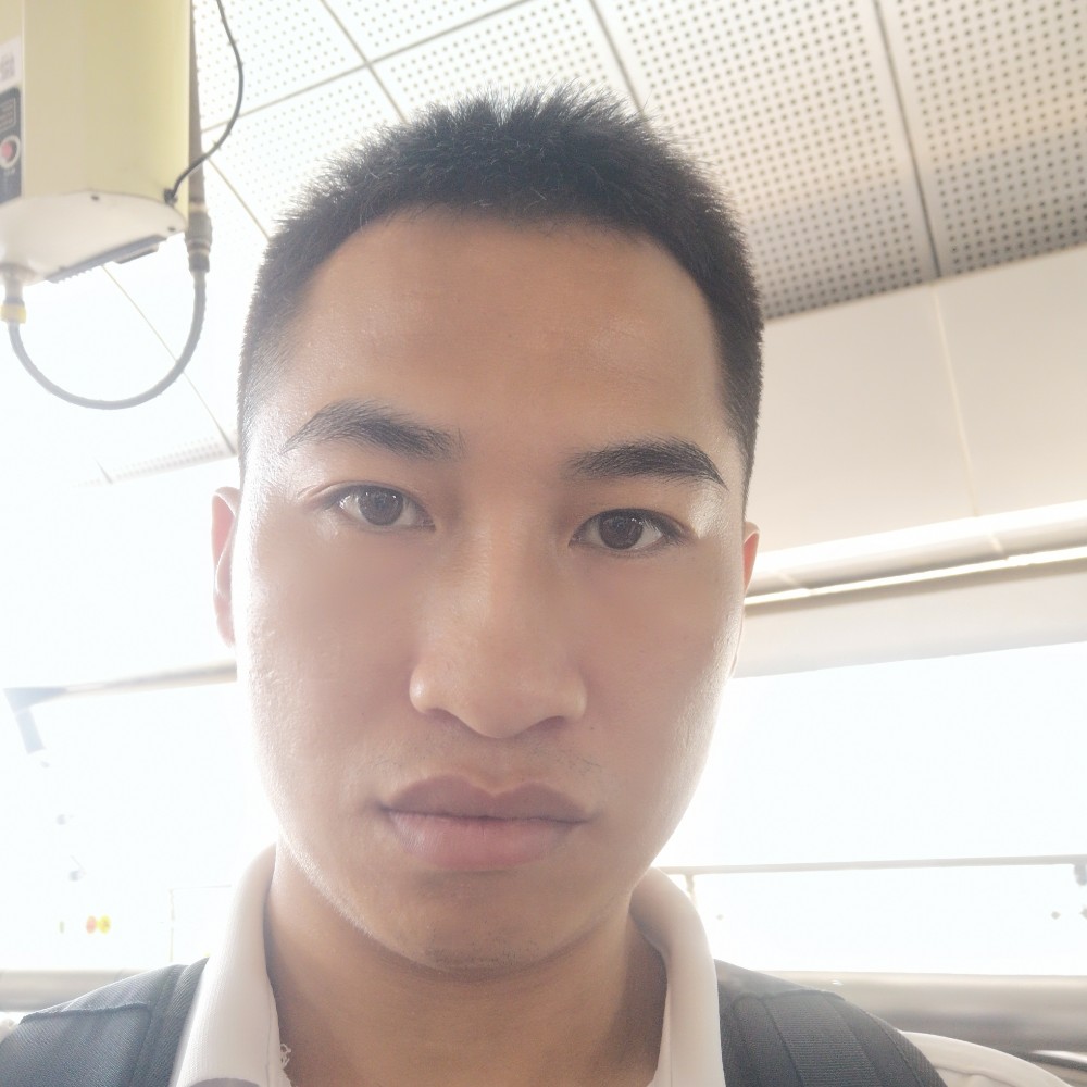 草丛林的照片