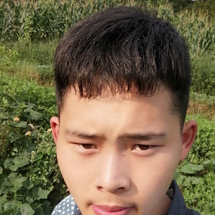 水壶现代的照片