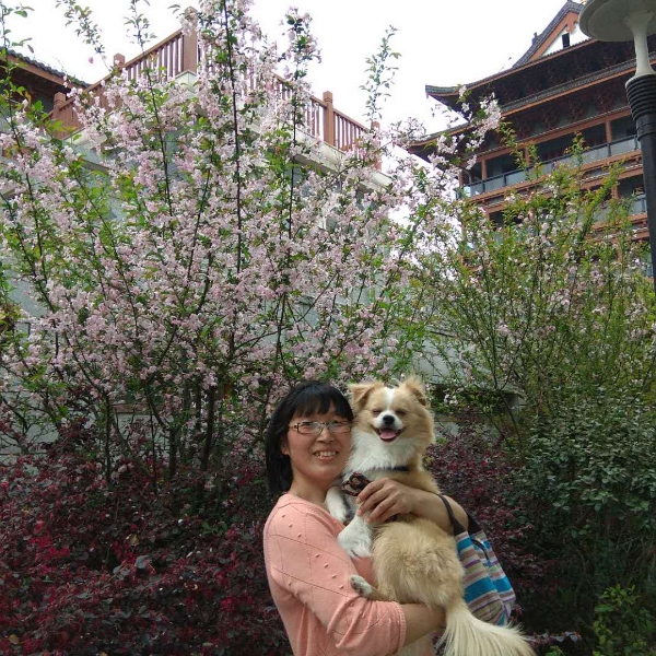 儒雅羊的照片