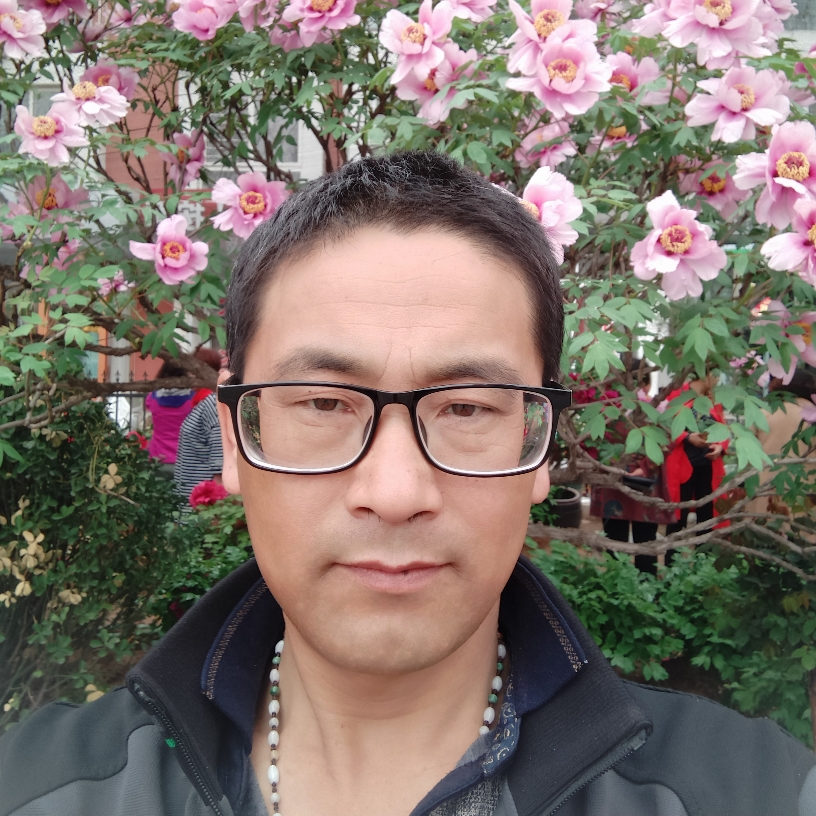 爱在雨中飞扬的照片