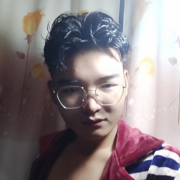 阔达放弃狗的照片