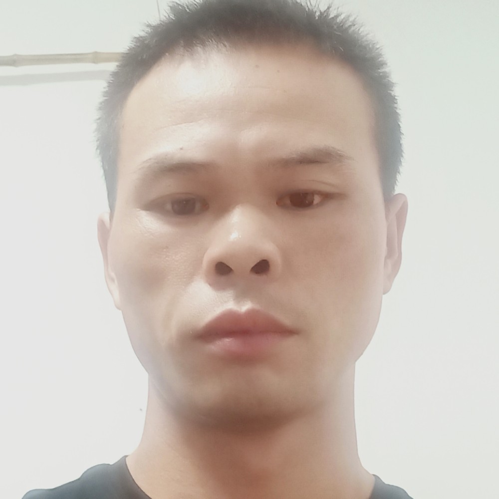 蝶恋花的泪的照片
