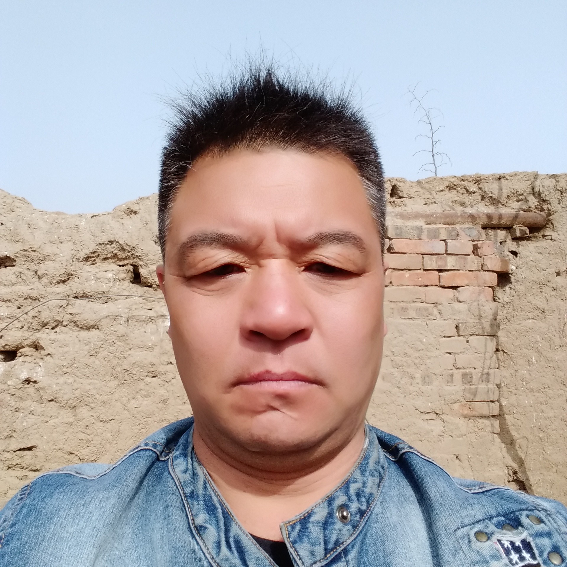 青栀用追寻的照片