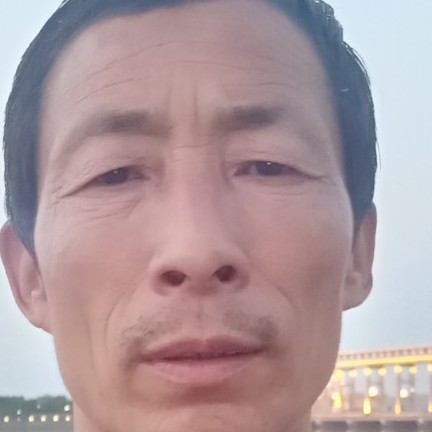 优秀和夕阳的照片
