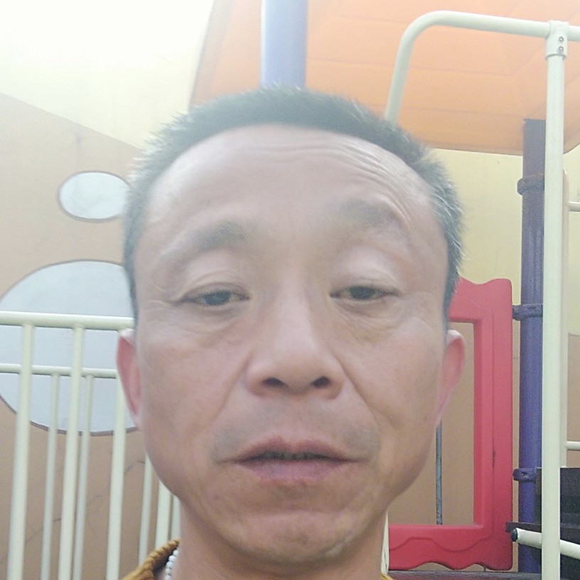 剪影蹁跹聪明的照片