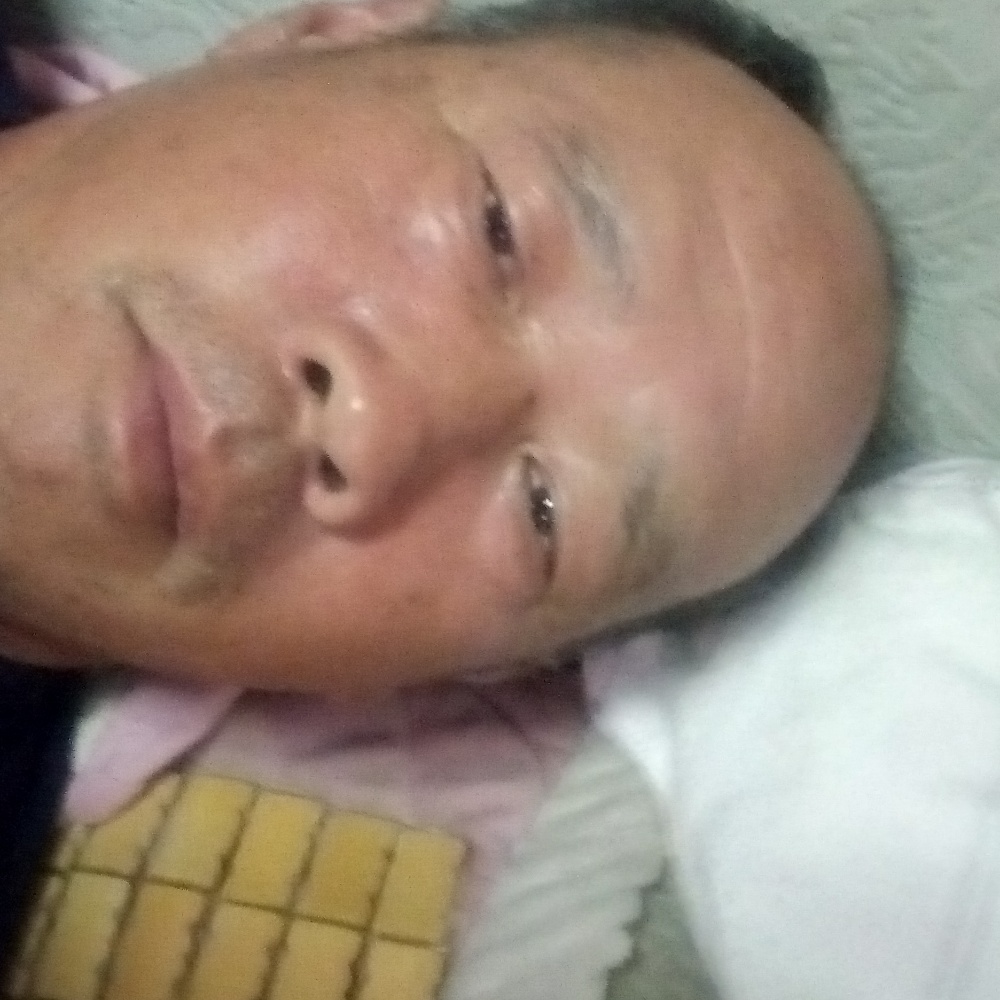 无语演变灰狼的照片