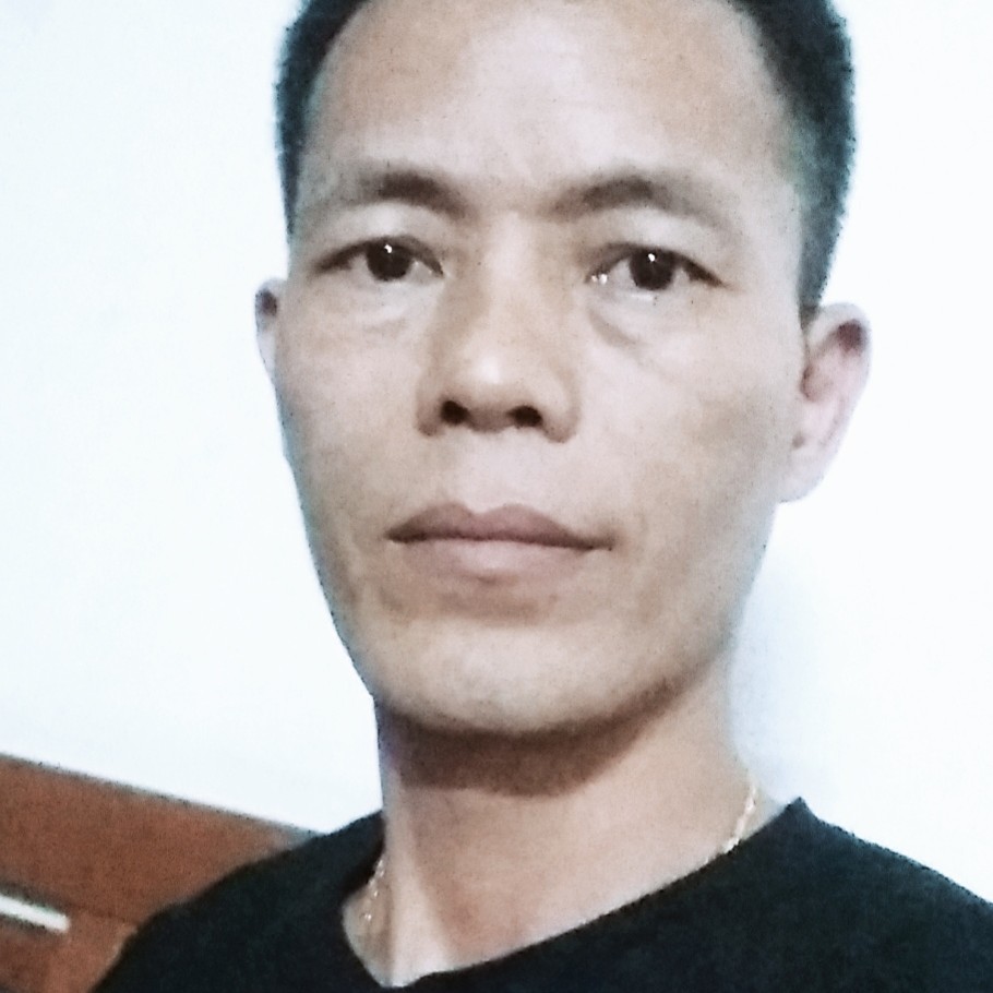 迷人深拥蝶舞的照片