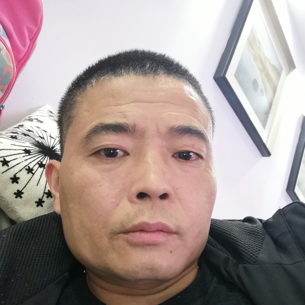 激昂闻小海豚的照片