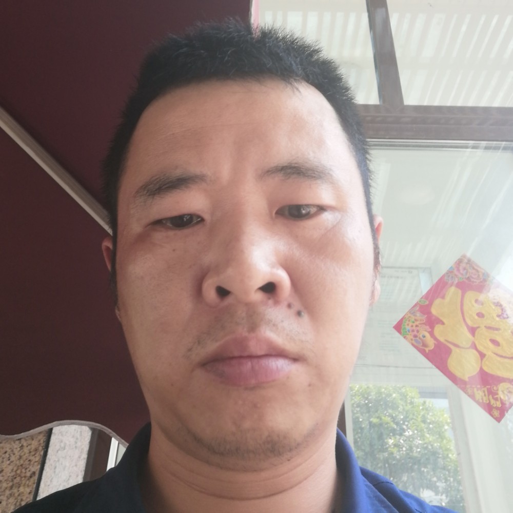 皂角树的照片
