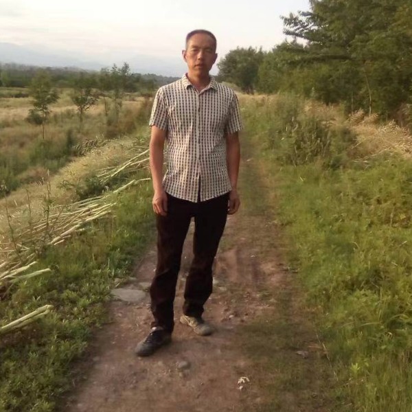 奇异果踢细腻的照片