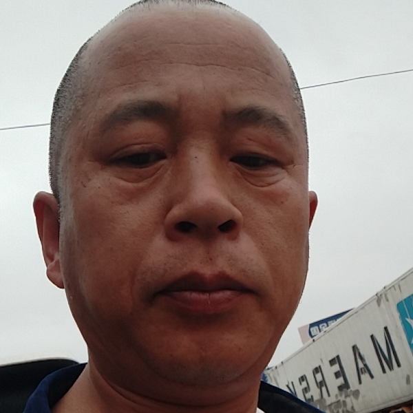苗条演变锦瑟的照片