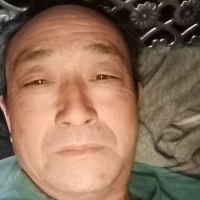 黄蜂回首专一的照片