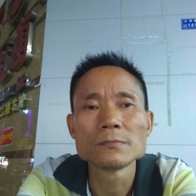 树叶简单的照片
