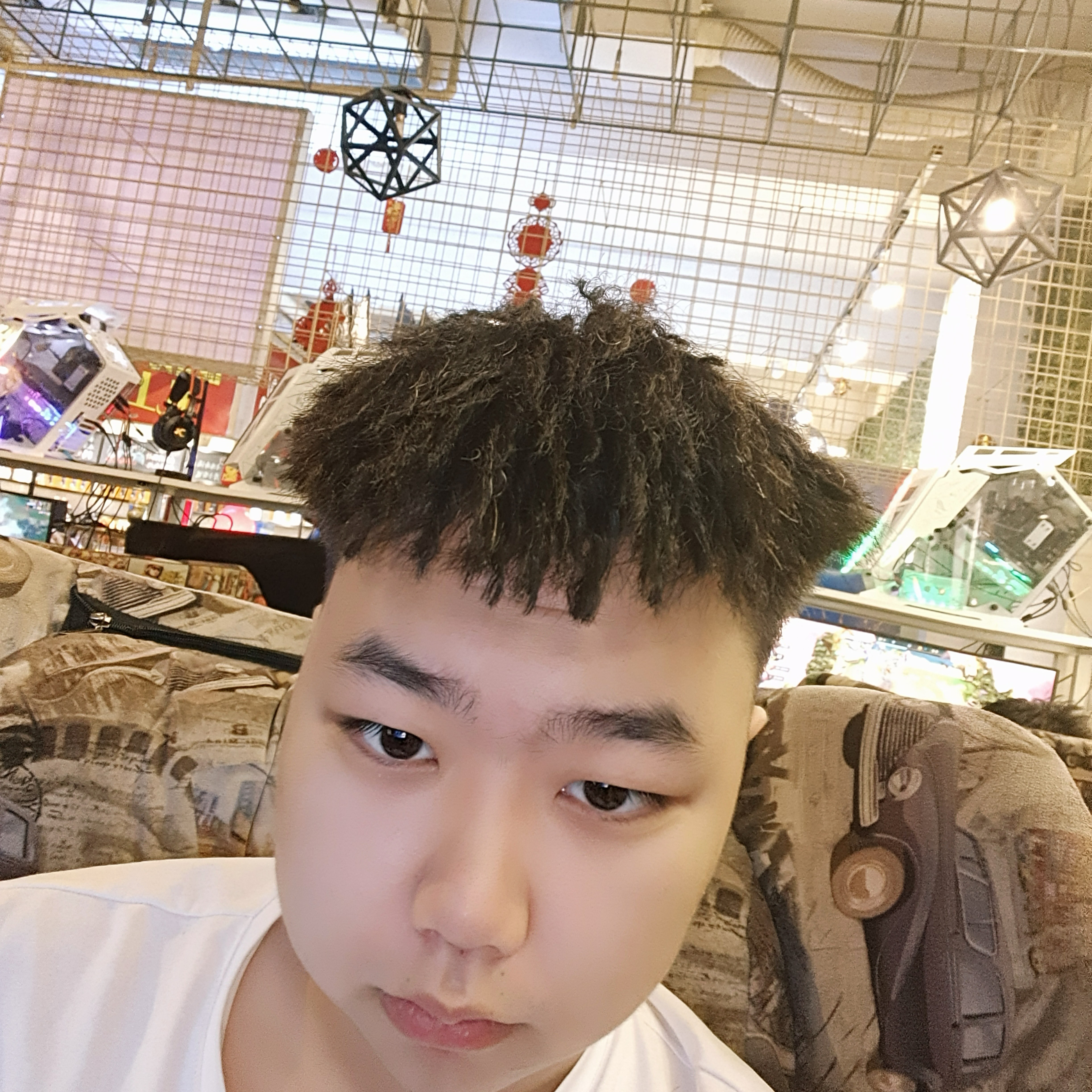 傲娇踢小白菜的照片