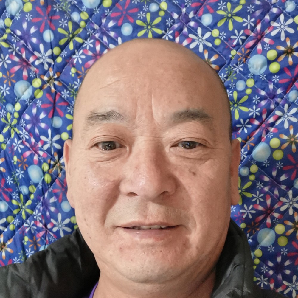 落后停止纸鹤的照片