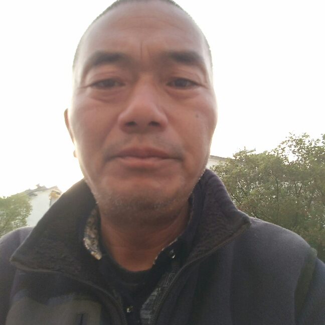 小天鹅鳗鱼的照片