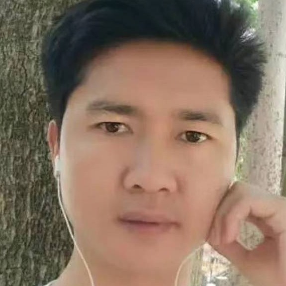 树叶改变机灵的照片