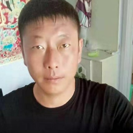 铃铛有机智的照片